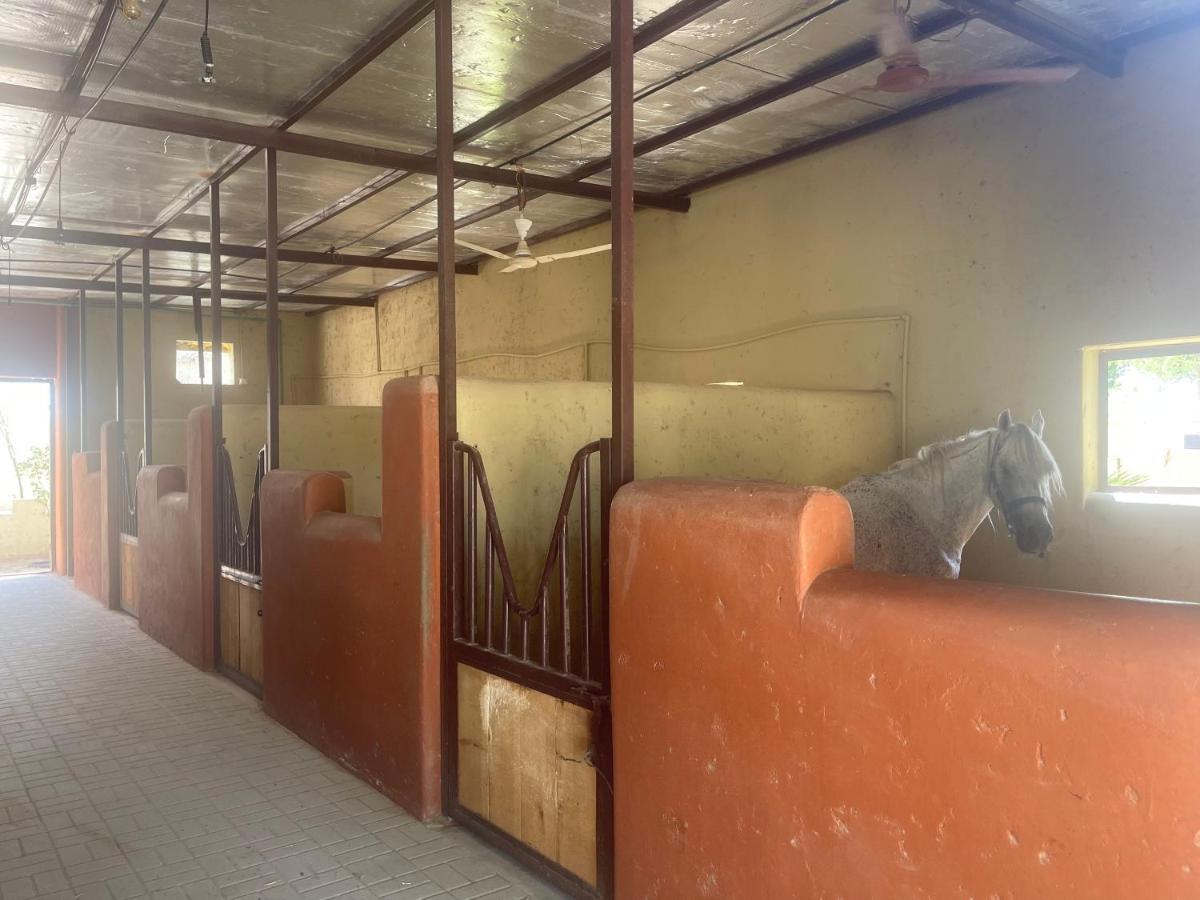 Al Bait Resort With Private Swimming Pools -Hrs Stables Al Hamraniyah المظهر الخارجي الصورة