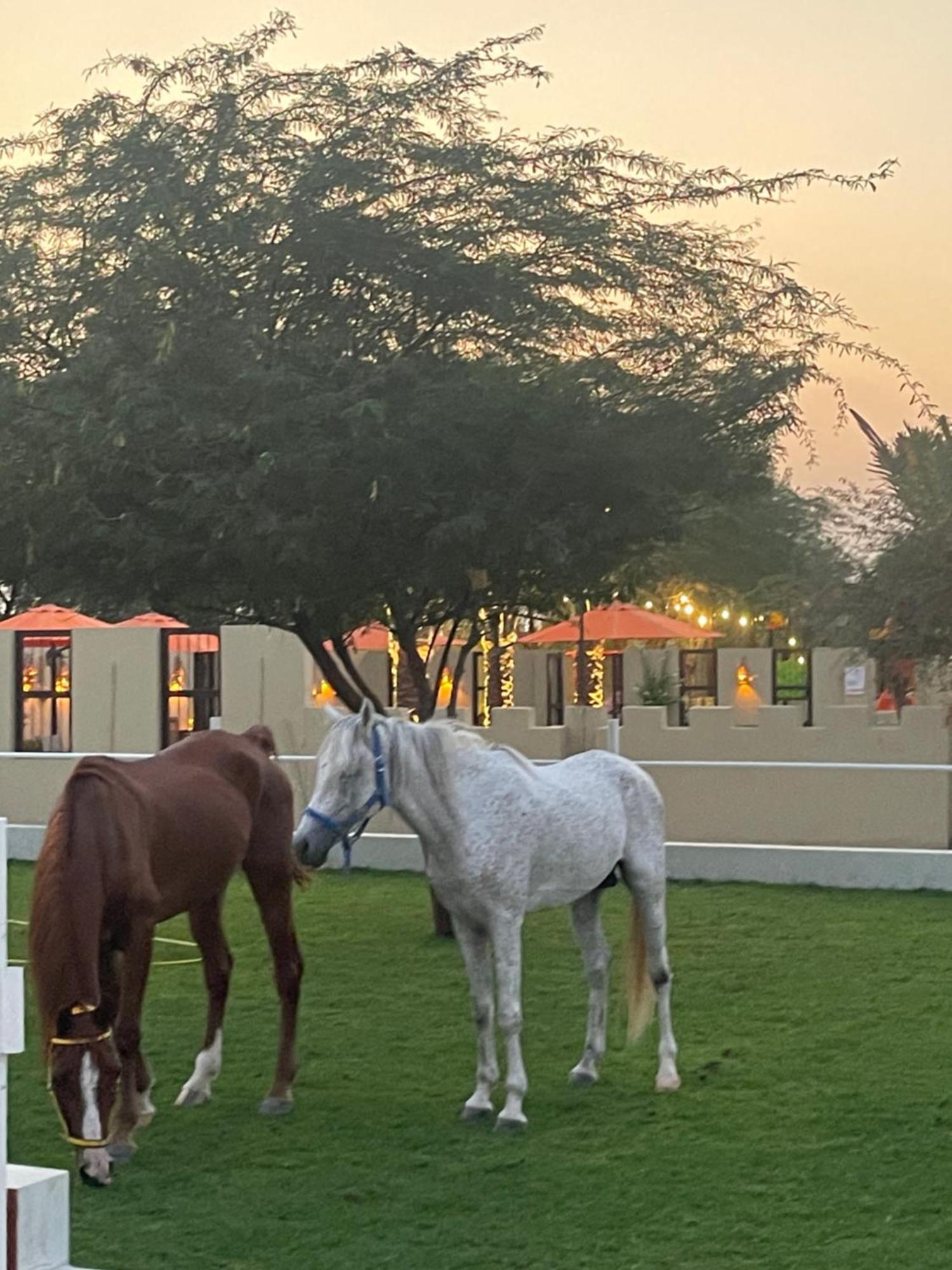 Al Bait Resort With Private Swimming Pools -Hrs Stables Al Hamraniyah المظهر الخارجي الصورة